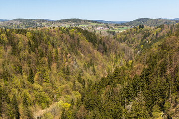 Fototapeta premium View of Jizera river valley near Semily, Czechia