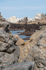 Oceano Rocoso