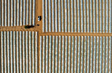 Aerial drone view of greenhouses in a row, covered with a transparent film of growing vegetables and fruits. Food cultivation farming, bio products