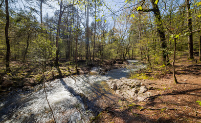 Sunny view of the Lookout Mountain Trail landscape of Beavers Bend State Park © Kit Leong