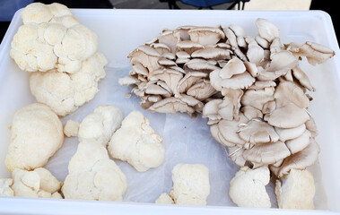 lions mane and oyster mushrooms