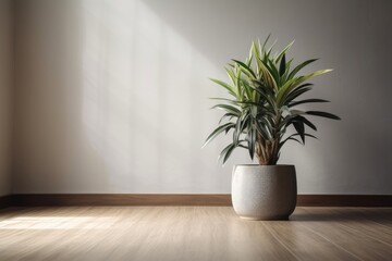 Fototapeta na wymiar Gray potted indoor decorative dracaena in a space with light walls and oak wood flooring. Generative AI