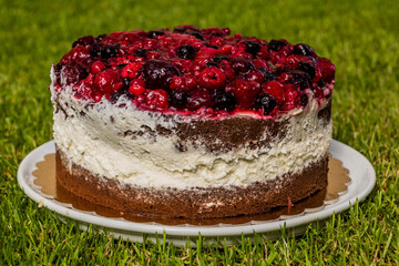 Wildberry cake on a grass