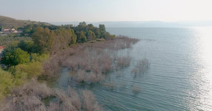 Aerial view of a lake shore line, Sea of Galilee, Israel.