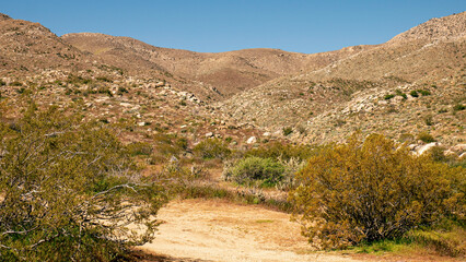 path in the mountains