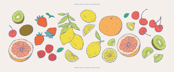 Set of fresh fruits sketches.Vector illustrations.Hand drawn sketches.