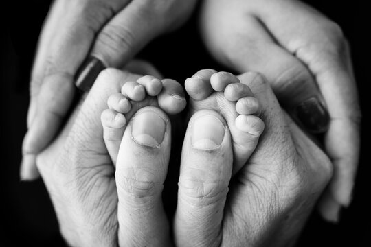 Children's foot in the hands of mother, father, parents. Feet of a tiny newborn close up. Little baby legs. Mom and her child. Happy family concept. Black and white image of motherhood stock photo
