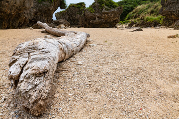 Fototapeta na wymiar 沖縄県八重瀬町具志頭のぐしちゃん浜の砂浜と倒木の風景