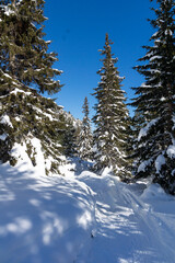 Winter view of Rila Mountain near Malyovitsa peak, Bulgaria