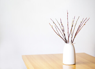 Bouquet of willow branches on a white background. Congratulatory background. Happy Easter and spring