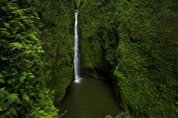 Hawaii waterfall. Green Hawaiian hike nature. Travel destination.
