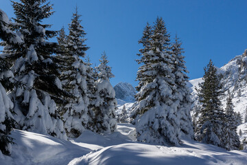 Winter view of Rila Mountain near Malyovitsa peak, Bulgaria