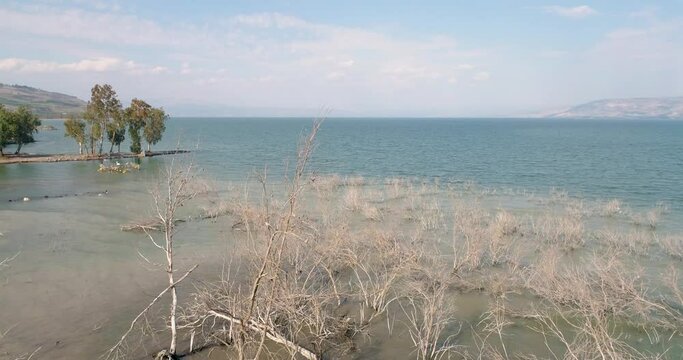 Aerial view of a lake with a river flow in, Dganya, Sea of Galilee, Israel.