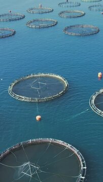 Aerial view over a large fish farm with lots of fish enclosures, vertical