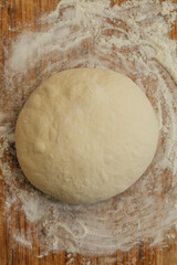 shaping sourdough bread dough into round, boule on floured board