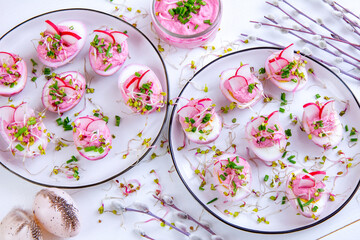 Obraz na płótnie Canvas Różowe jajka barwione sokiem z buraka faszerowane nadzieniem chrzanowym z rzodkiewką, kiełkami i szczypiorkiem. Wielkanocna potrawa z jajek.