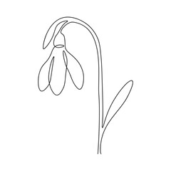 Spring snowdrop flower in continuous line art style.Gentle forest first spring flower. For design, decoration and printing