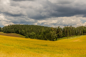 Fields near Dolni Cermna, Czech Republic