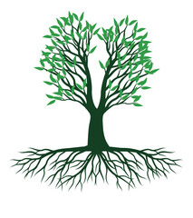 Green Tree with Leaves and Roots. Vector outline Illustration. Plant in Garden.