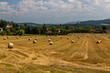 Fototapeta premium Rural landscape near Kremze village, Czech Republic