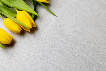 Image of yellow tulips with copy space on slate grey background © vectorfusionart
