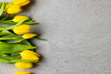 Image of yellow tulips with copy space on slate grey background © vectorfusionart