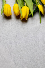 Image of yellow tulips with copy space on slate grey background © vectorfusionart