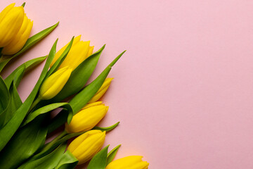 Image of yellow tulips with copy space on pink background © vectorfusionart