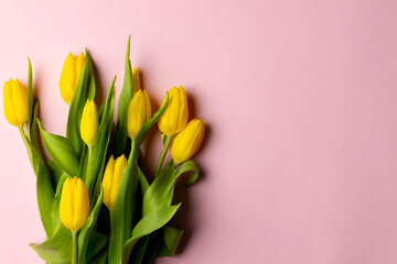 Image of yellow tulips with copy space on pink background © vectorfusionart