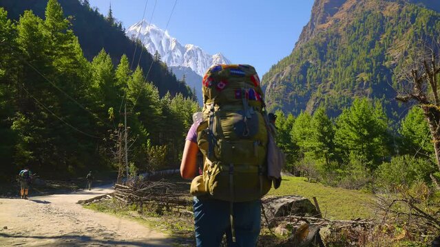Hiker walking with big backpack in Himalayan valley path towards snow covered Annapurna massif mountain in the distance, Nepal
