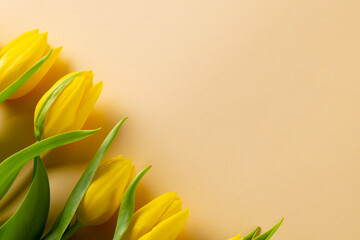 Image of yellow tulips with copy space on yellow background