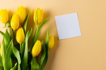 Image of yellow tulips and card with copy space on yellow background