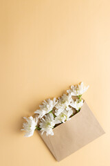 Image of white flowers in envelope with copy space on yellow background