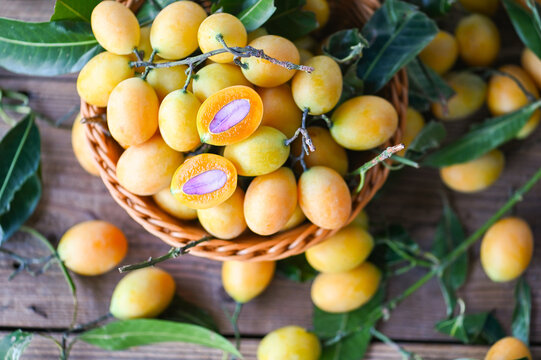 Marian plum fruit and leaves in basket on wooden background, tropical fruit Name in Thailand Sweet Yellow Marian Plum Maprang Plango or Mayong chid