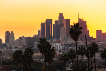Downtown Los Angeles with Palm Trees at Sunset with Beautiful Light Glow