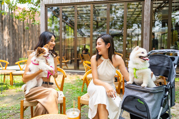 Asian woman friends with their dog meeting together at pet friendly cafe. Domestic dog with owner have fun outdoor lifestyle on summer vacation. Pet humanization or pet ownership community concept.