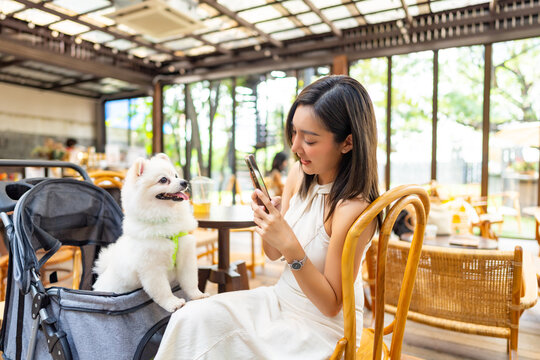 Young Asian woman using mobile phone taking picture of her pomeranian dog at pets friendly cafe. Domestic dog with owner have fun urban outdoor lifestyle on summer vacation. Pet Humanization concept.