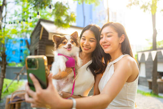 Happy Asian woman friends using mobile phone taking selfie together with chihuahua dog during meeting at pets friendly cafe. Domestic dog with owner have fun urban outdoor lifestyle on summer vacation