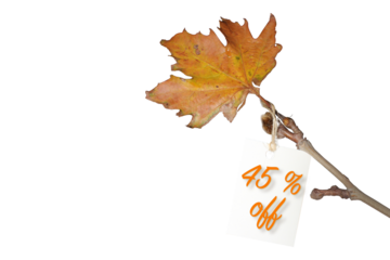 Label with forty-five percent discount on ticket, discount tag with yellowed leaf on twig. Autumn or winter sale concept idea.