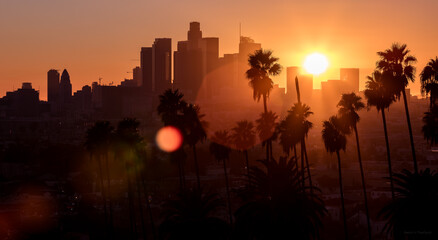 Downtown Los Angeles Silhouette with Palm Trees at Sunset