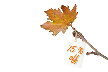 Label with seventy-five percent discount on ticket, discount tag with yellowed leaf on twig. Autumn or winter sale concept idea.