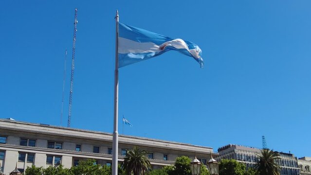 The flag