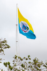 Santarem (city in Para state, Brazil) flag waving in cloudy sky