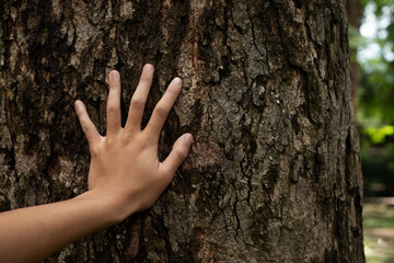 Young man hand touching old tree trunk in forest.protect nature, green eco-friendly lifestyle,...