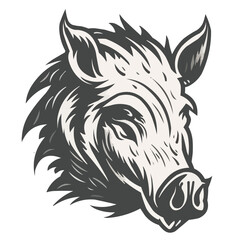 Boar vector