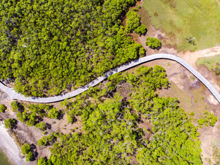 The beautiful Tinchi Tamba Wetlands, seen from above; long wooden boardwalk leading through the mangroves. Brisbane, Queensland, Australia