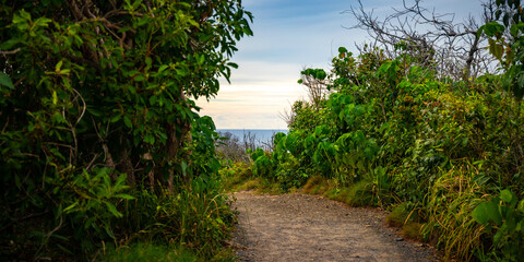 beautiful famous trail running alongside the pacific ocean in the famous noosa national park