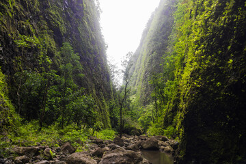 Obraz premium A small stream with rocks surrounded by green mountains. Jungle nature in Hawaii hike.