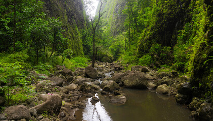 A small stream with rocks surrounded by green mountains. Jungle nature in Hawaii hike.