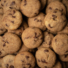 Galletas